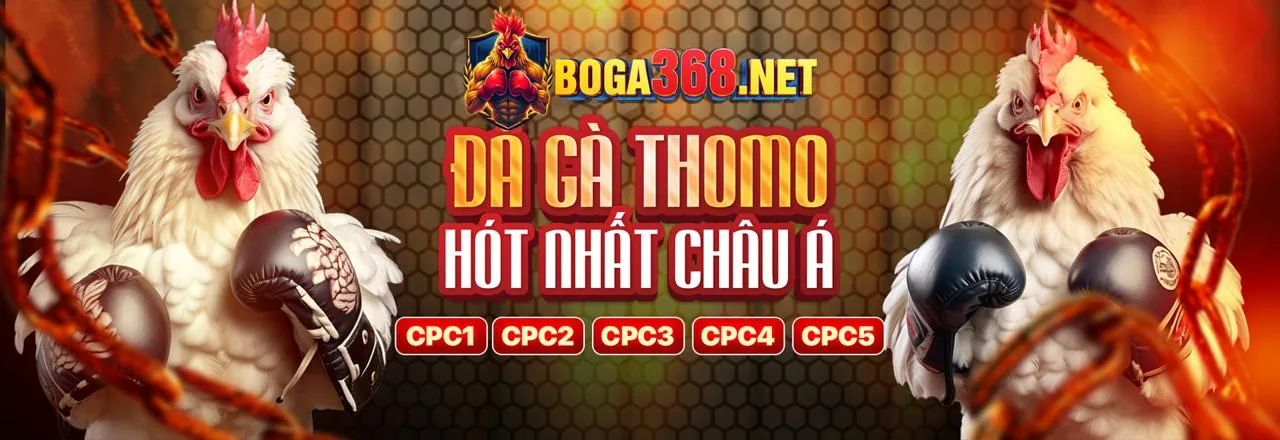 Đá Gà Trực Tuyến Sodo79 Login